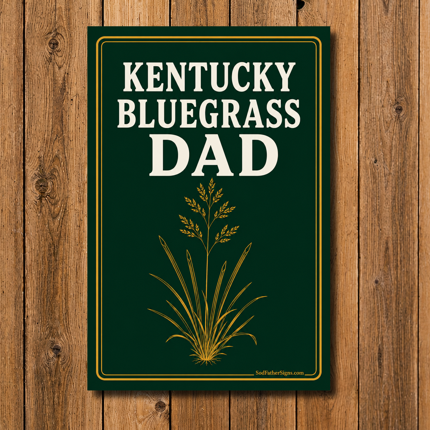 Kentucky Bluegrass Dad