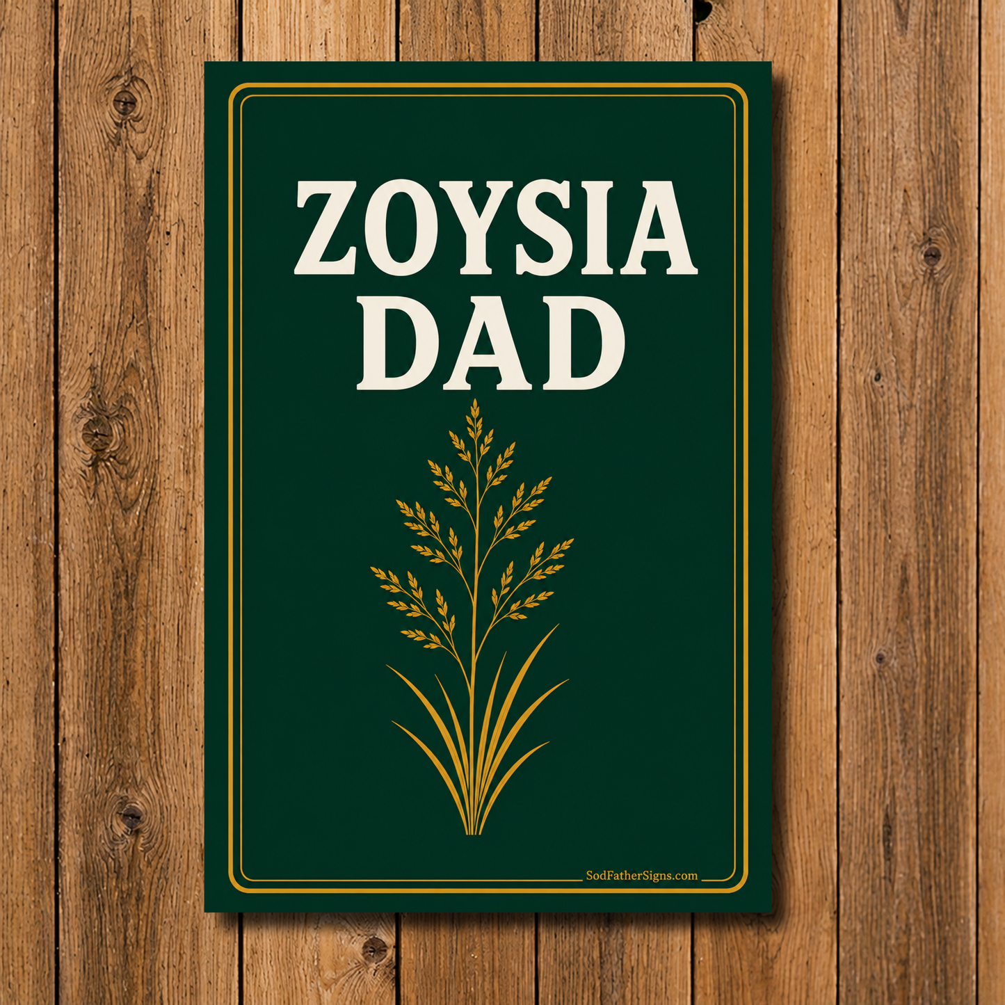 Zoysia Dad
