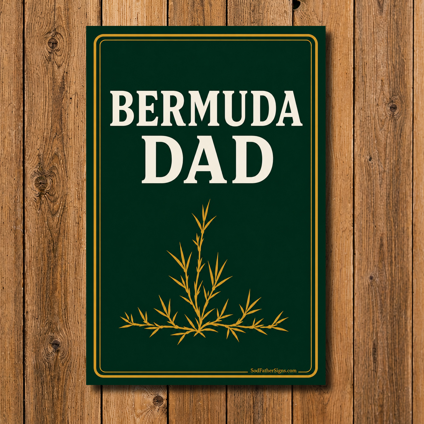 Bermuda Dad